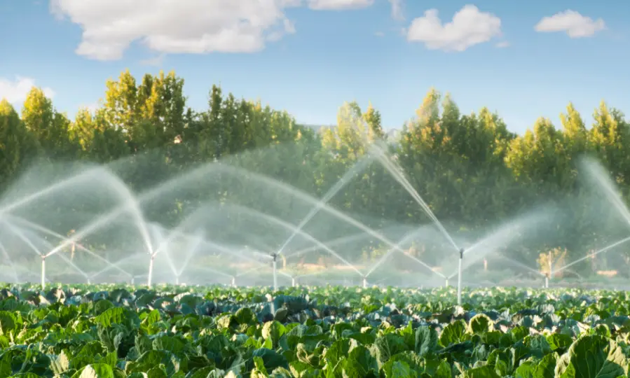 Irrigation System Management