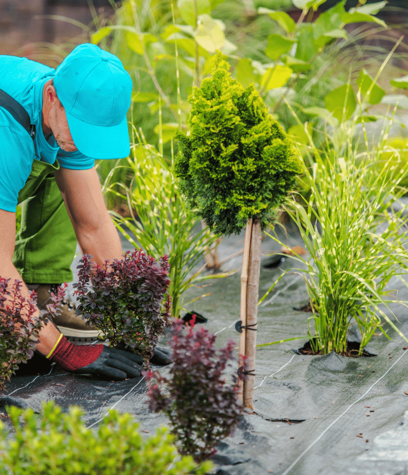 Landscaping Services 3