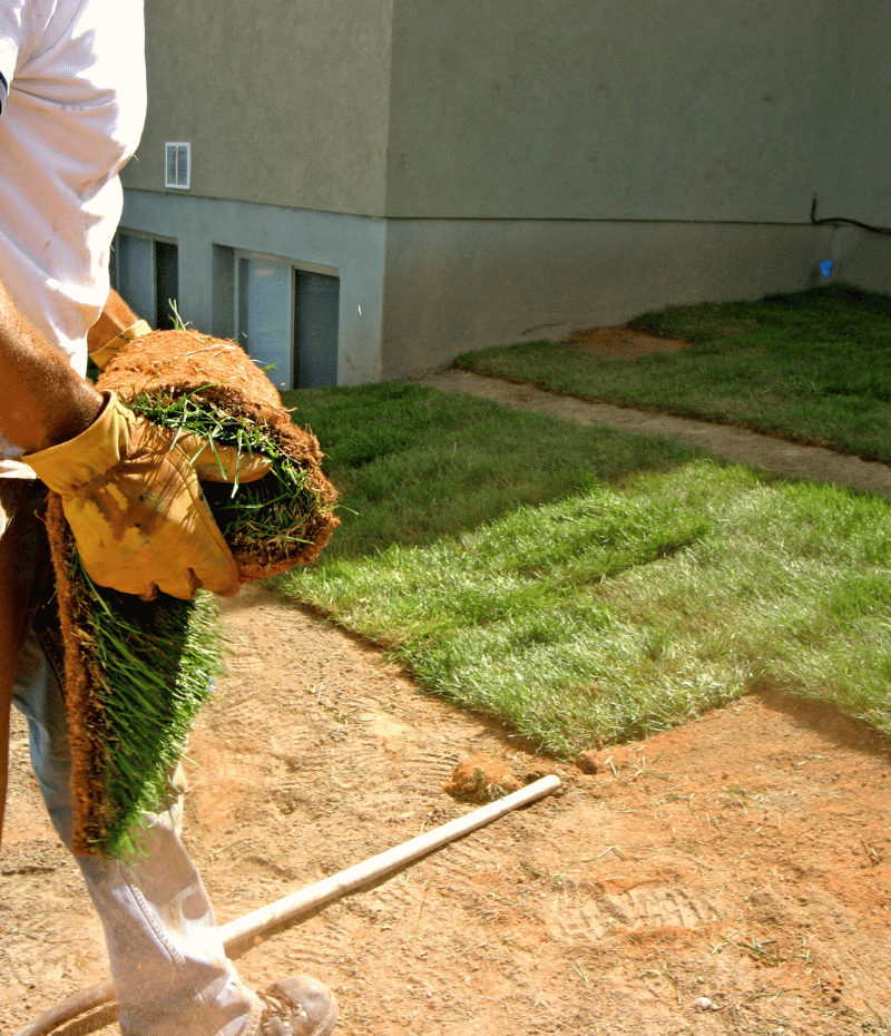 Landscaping Services 4