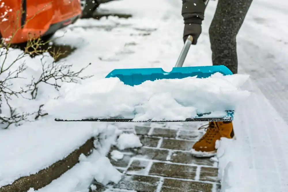How Much Does Snow Removal Cost