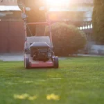 Above Ground Landscaping