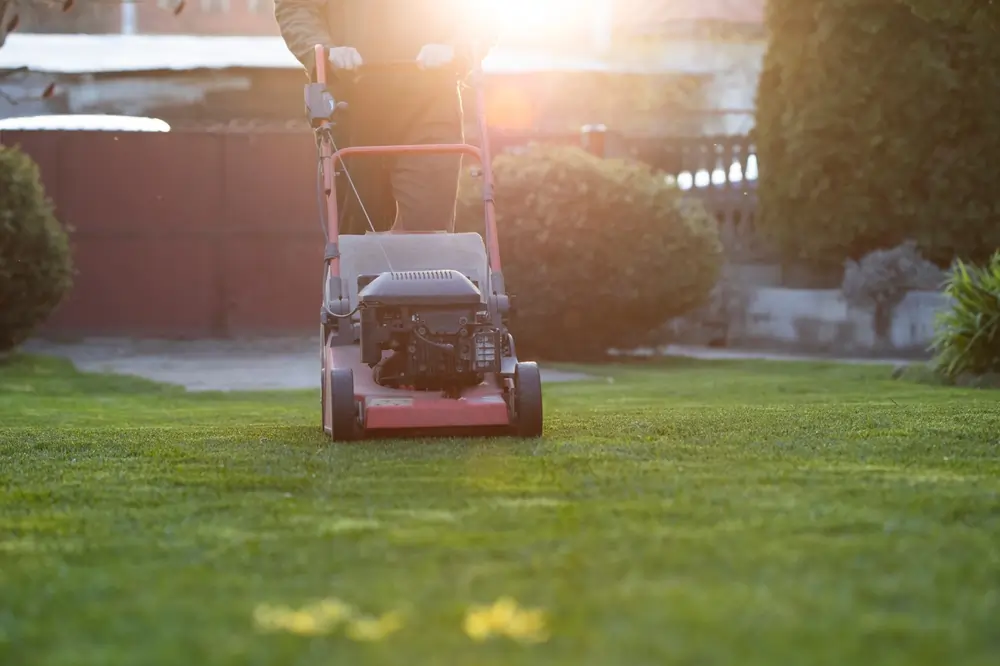 Above Ground Landscaping