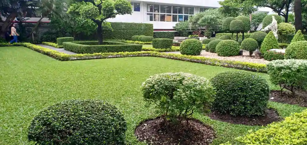 How To Prepare Ground For Garden