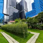 In Ground Garden Ideas