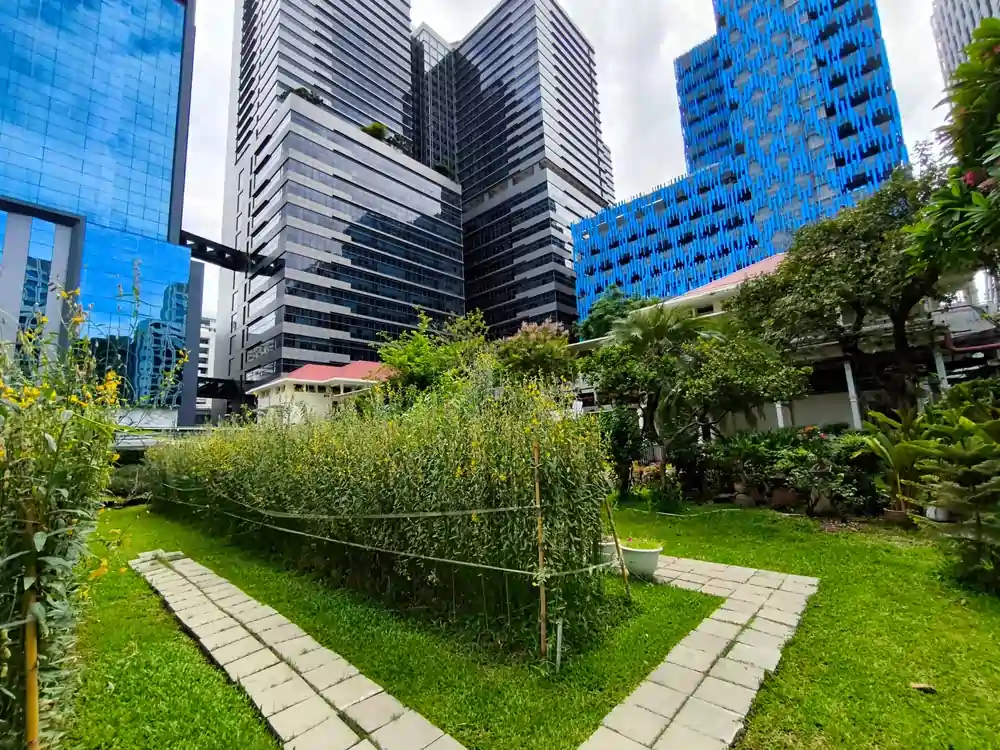 In Ground Garden Ideas