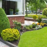 Landscaping Low Maintenance Design