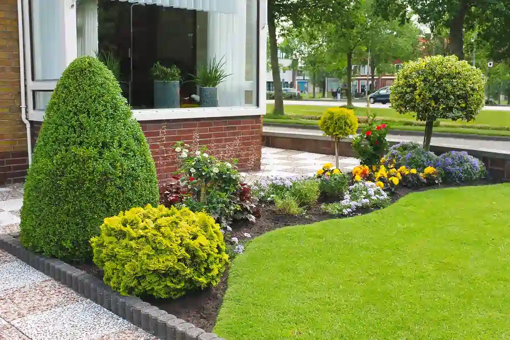 Landscaping Low Maintenance Design